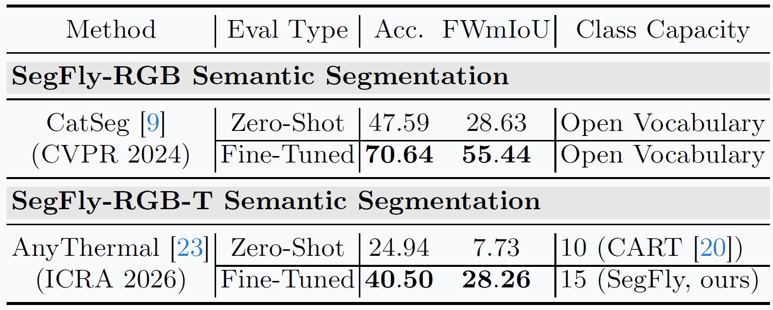 Aerial Vision Foundation Models